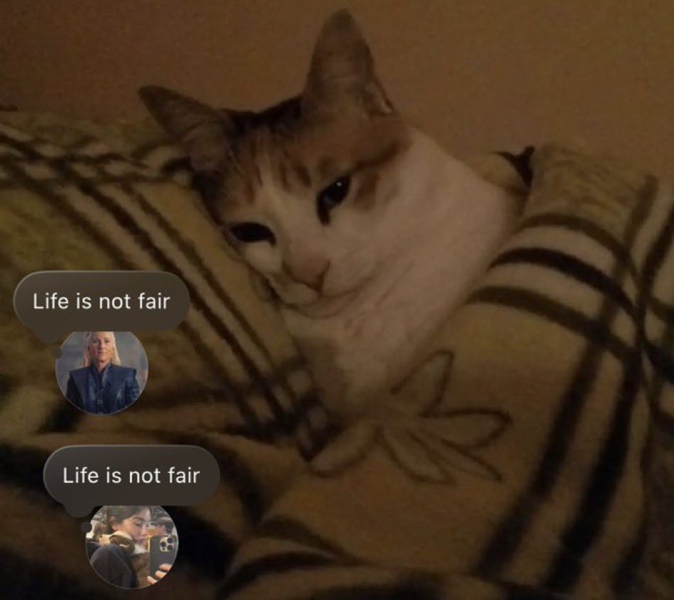 norman verstappen tweet media