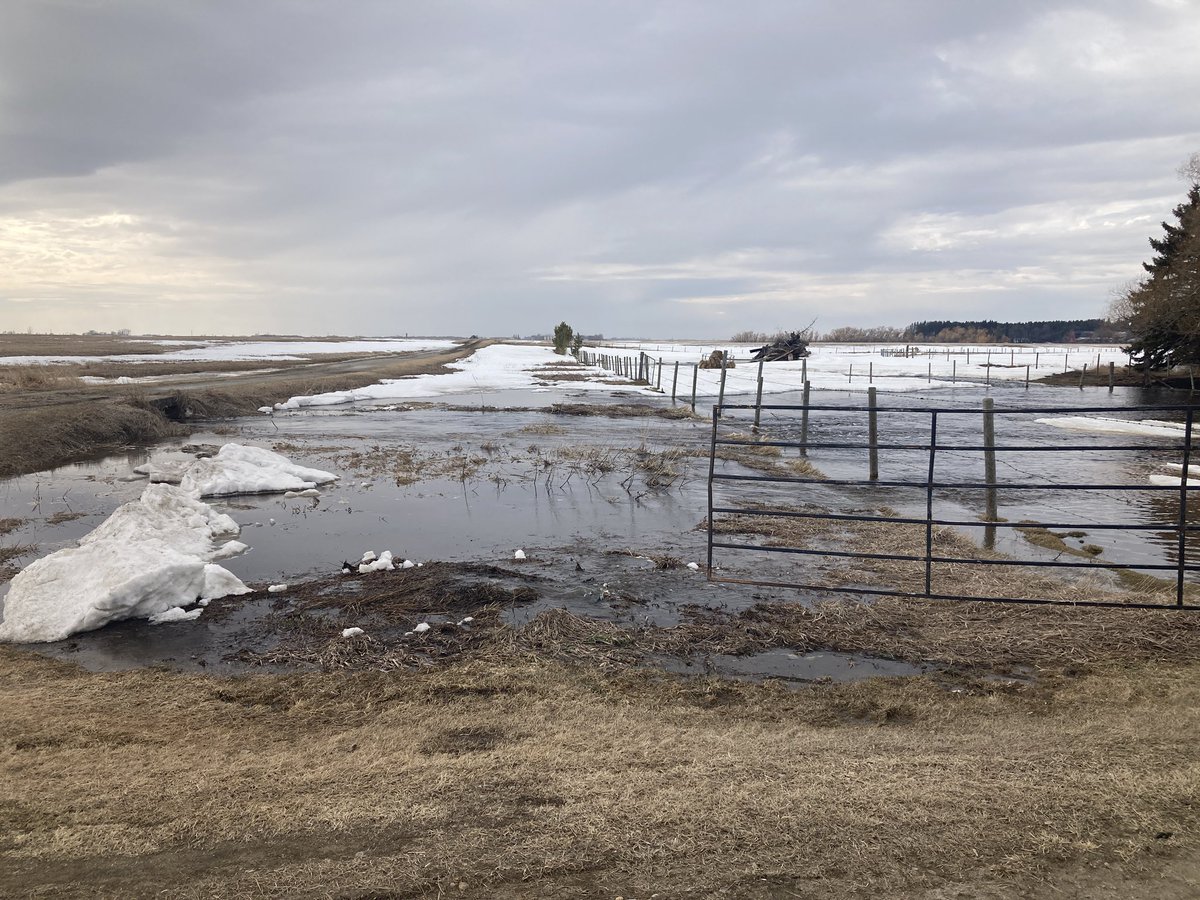 First day of “spring” in Holland. Being the flat spot between the Manitoba escarpment and the Boyne &amp; Assiniboine Rivers means we get quite the spring melt show! Ditches and culvert running at capacity today!