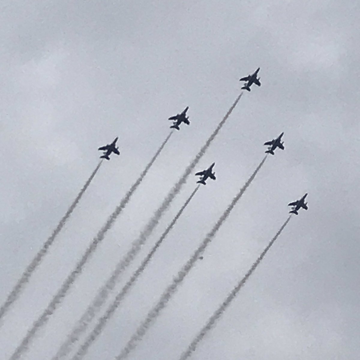 ブルーインパルス見てきた