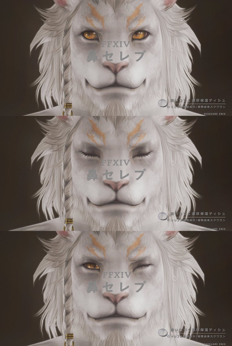 Sol Leone tweet media