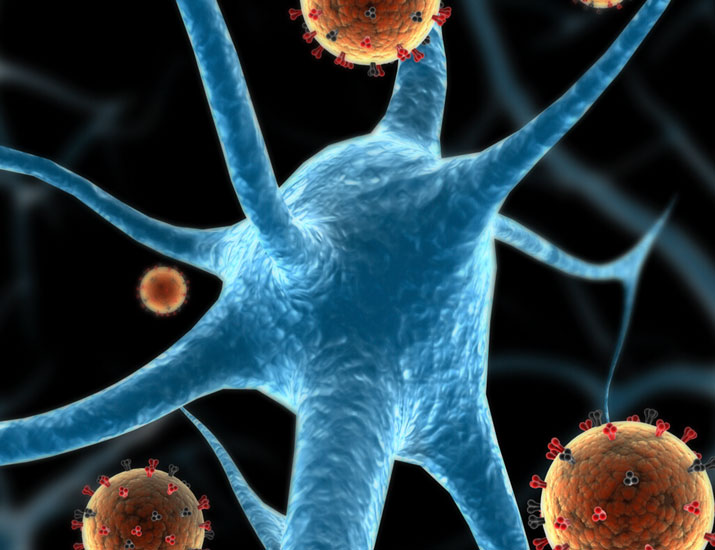 ScienceMagazine's tweet photo. A @SciSignal study decodes what makes it possible for #RIPK3, a kinase that triggers cell death, to play a different role in neurons by protecting them from invading viruses, adding another dimension to the function of this kinase in #CellBiology. https://t.co/rsdWRttwC9 https://t.co/qCbf33Az9M