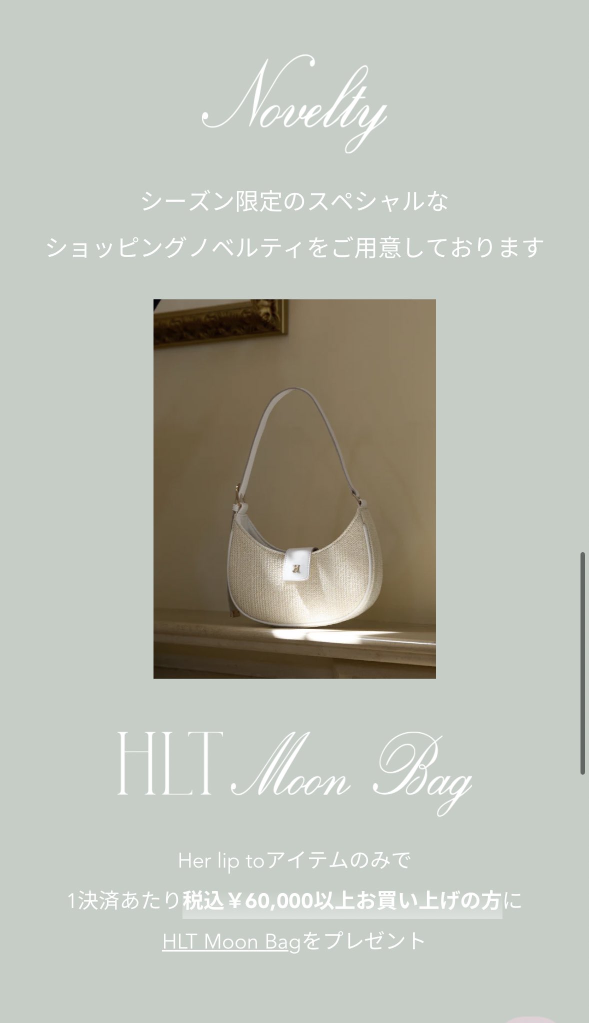 HLT Moon Bag ハーリップトゥ　ノベルティ　herlipto HLT Moon Bag ハーリップトゥノベルティherlipto