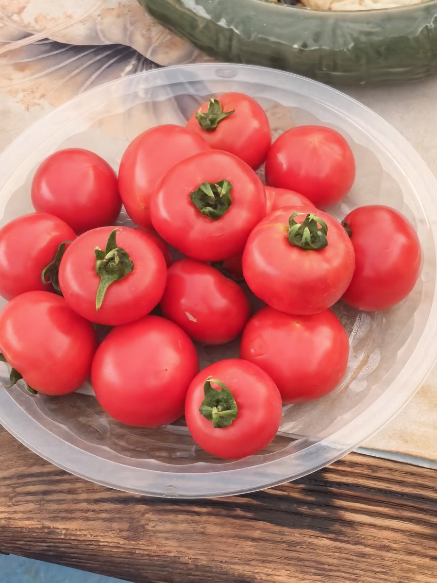 TechY6582's tweet image. Different kinds of tomatoes