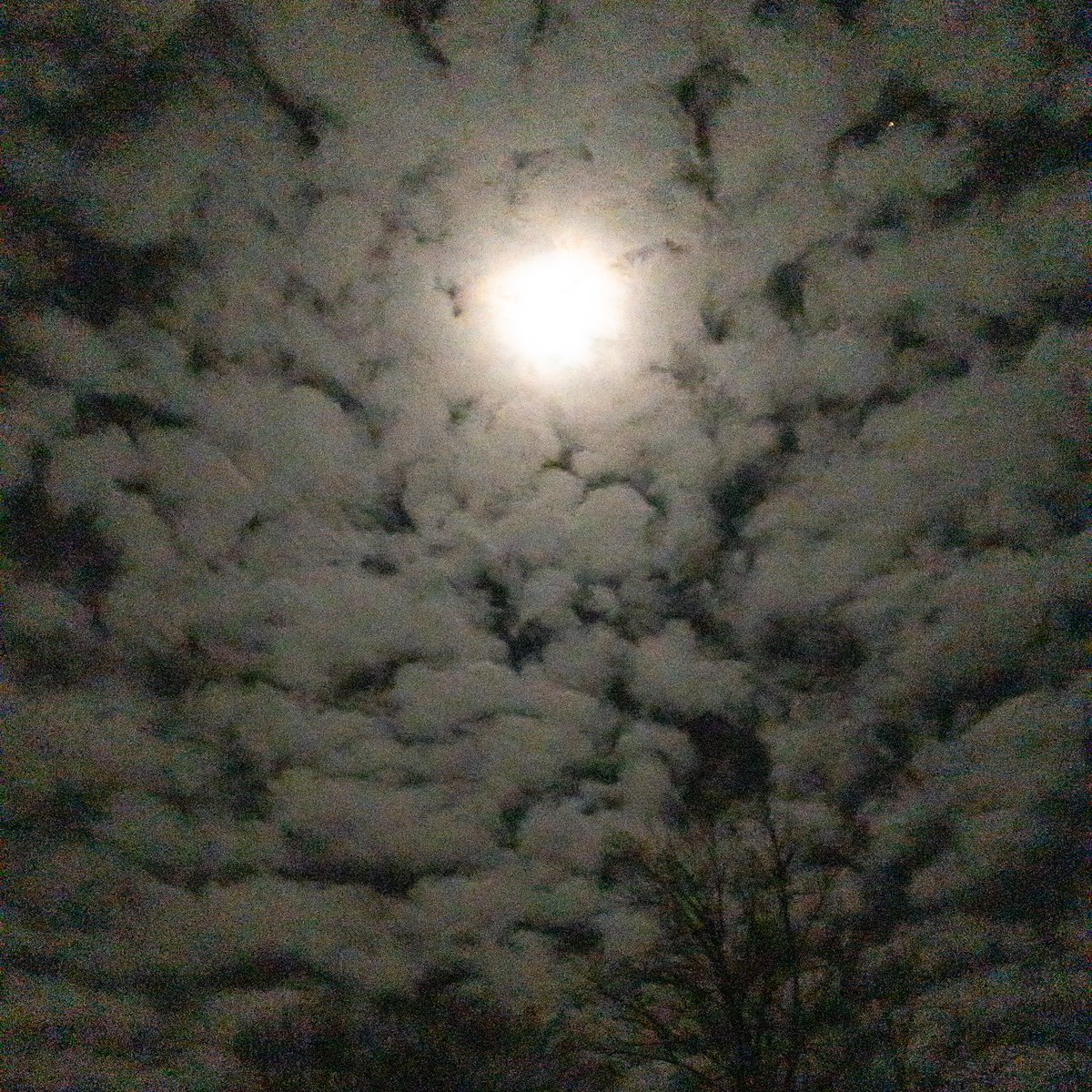 Stark788768's tweet photo. The moon! https://t.co/ytXLHpz95p