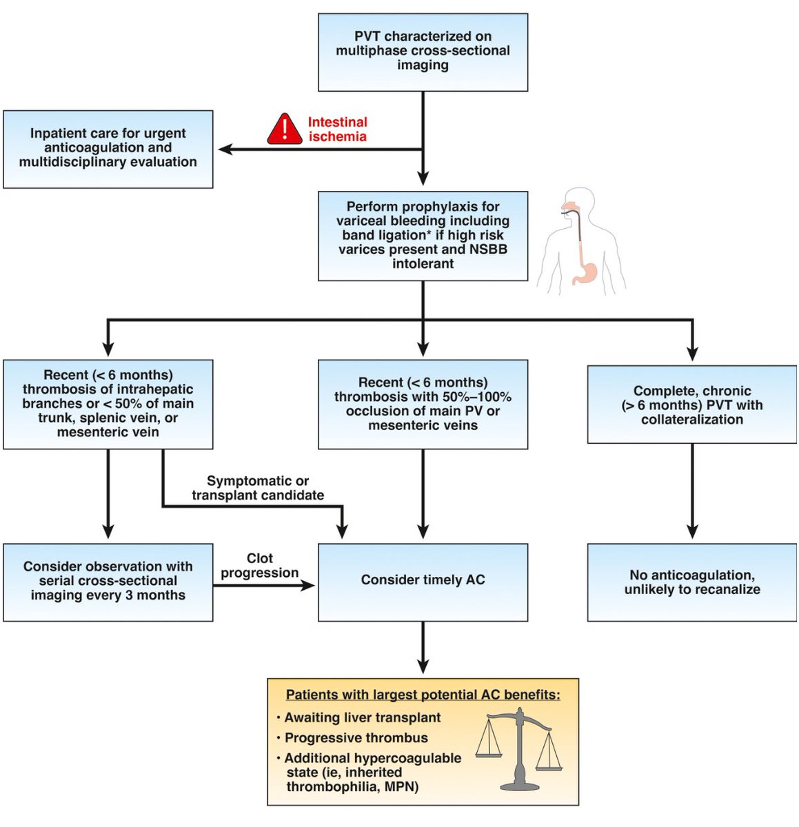 Saqr Alsakarneh, MD, MSc (@alsakarnehsaqr) on Twitter photo One of the most useful guidance on PVT I have ever seen 📕 <a href="/AGA_Gastro/">Gastroenterology</a>
<a href="/AmerGastroAssn/">American Gastroenterological Association (AGA)</a> Clinical Practice Update on Management of Portal Vein Thrombosis in Patients With Cirrhosis: Expert Review
gastrojournal.org/article/S0016-…
#GITwitter #MedEd #MedTwitter One of the most useful guidance on PVT I have ever seen 📕 <a href="/AGA_Gastro/">Gastroenterology</a>
<a href="/AmerGastroAssn/">American Gastroenterological Association (AGA)</a> Clinical Practice Update on Management of Portal Vein Thrombosis in Patients With Cirrhosis: Expert Review
gastrojournal.org/article/S0016-…
#GITwitter #MedEd #MedTwitter