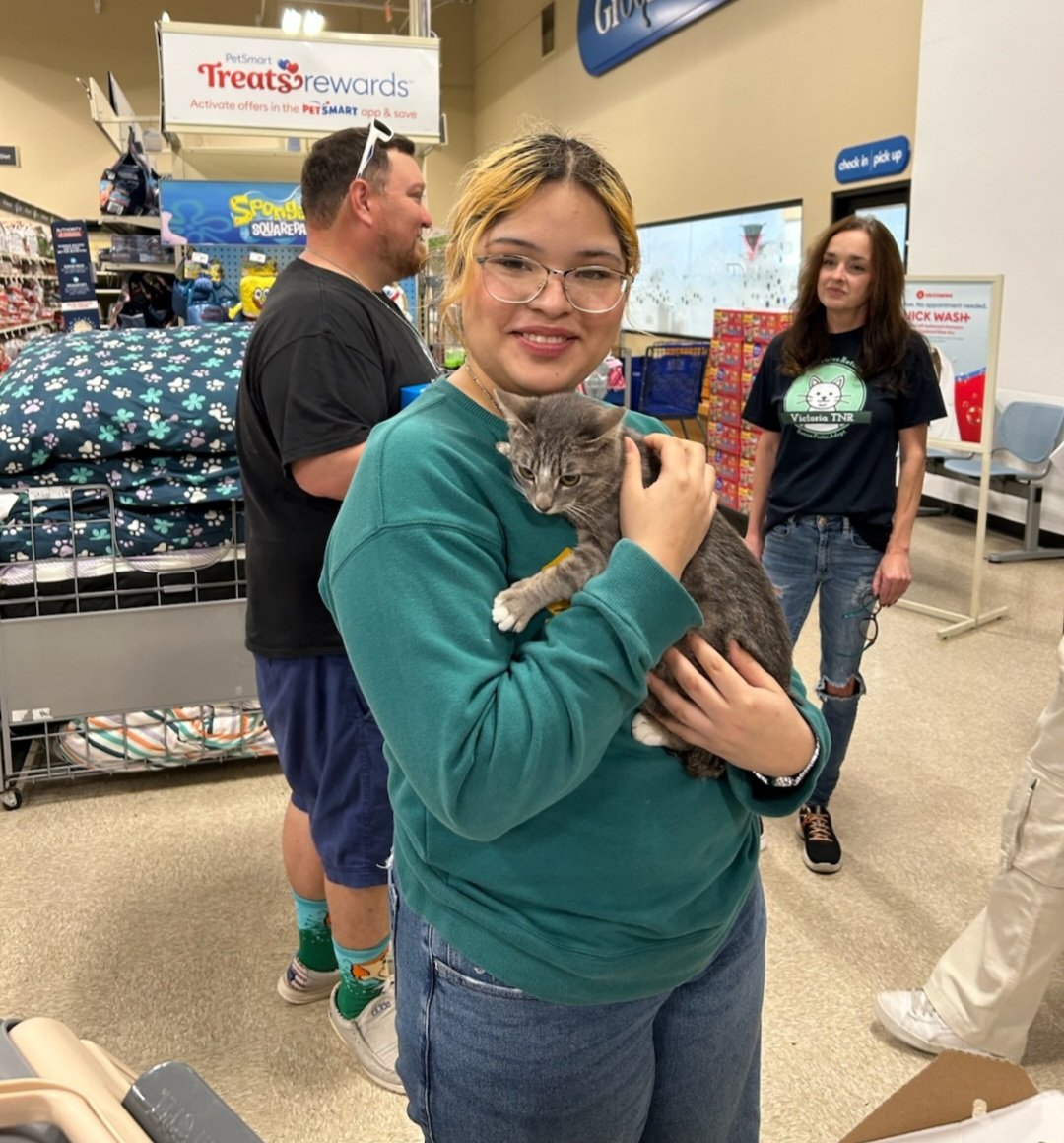 TNRVictoria's tweet photo. Oliver has been adopted! https://t.co/BOFr2NpBkQ