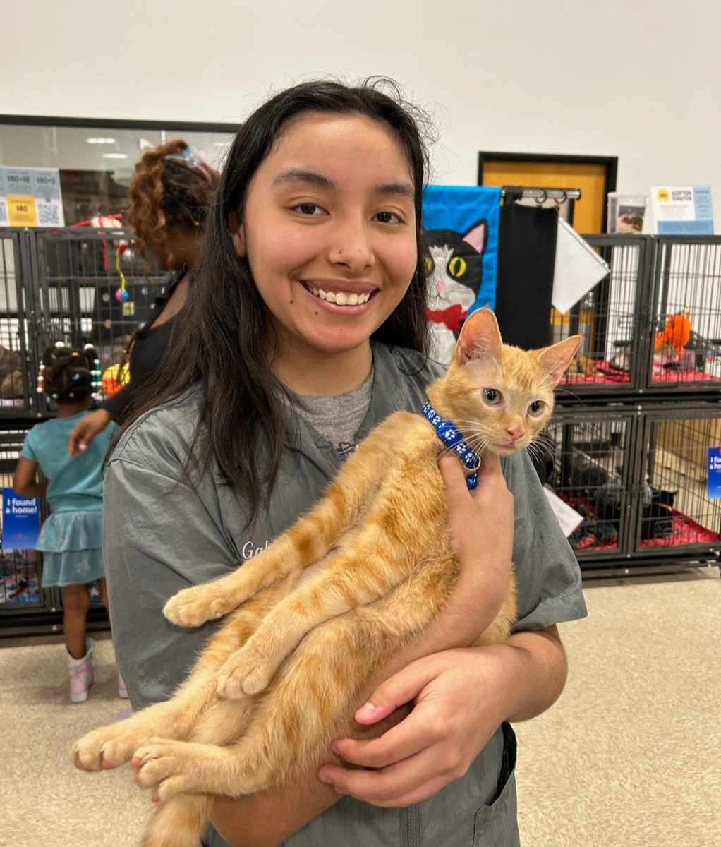 TNRVictoria's tweet photo. Lorax has been adopted! https://t.co/vovL7yEu0H