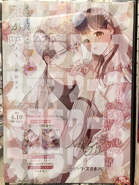 やさしく契って恋が咲く 1 （やさしく契って恋が咲く 1 （Kanon  