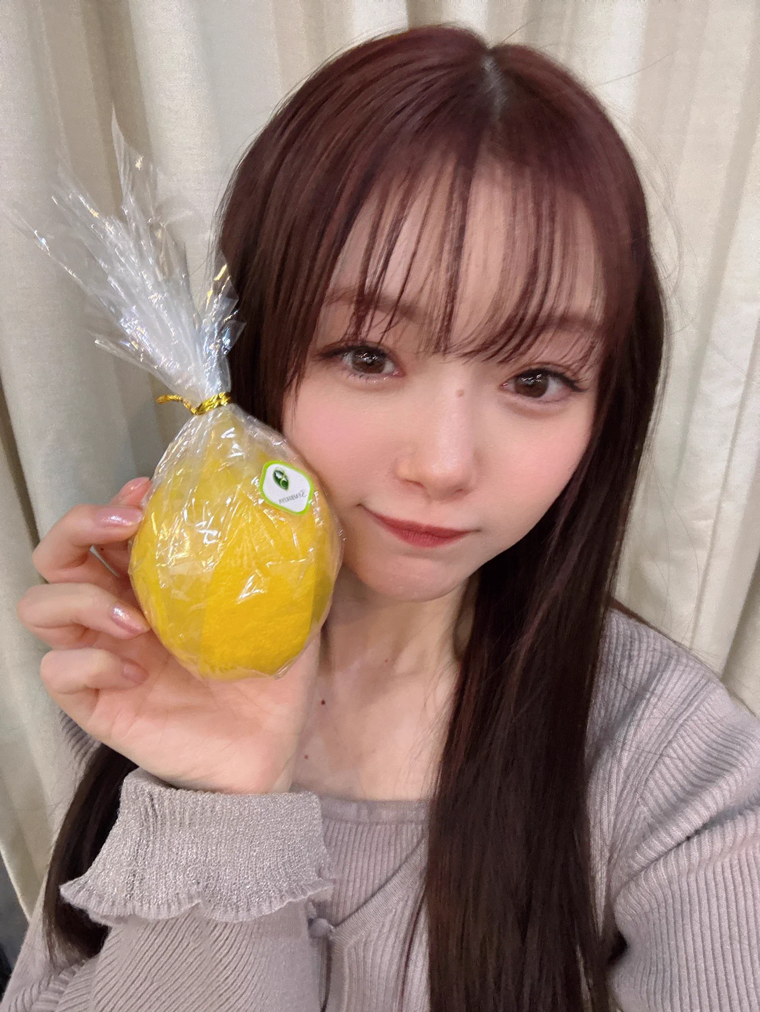 市川美織 on X: 