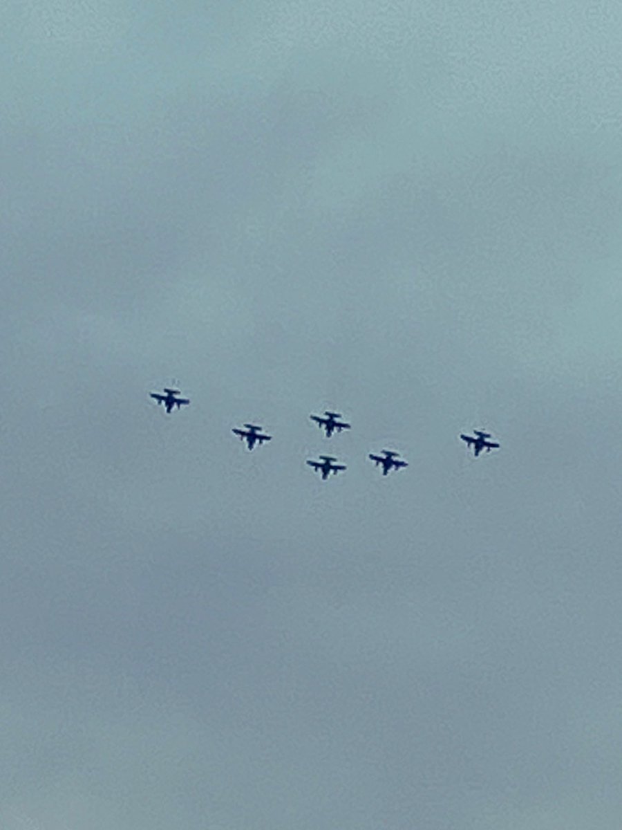 ハトガデマスヨ tweet media