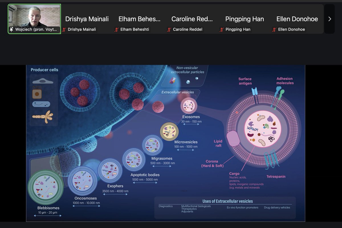 A huge thank you to all our speakers and participants at yesterday's mini-symposium on 'Foundations of EV Therapeutics' for such an insightful and educational session!

Join our mailing list to hear about future events: anzsev.org/contact