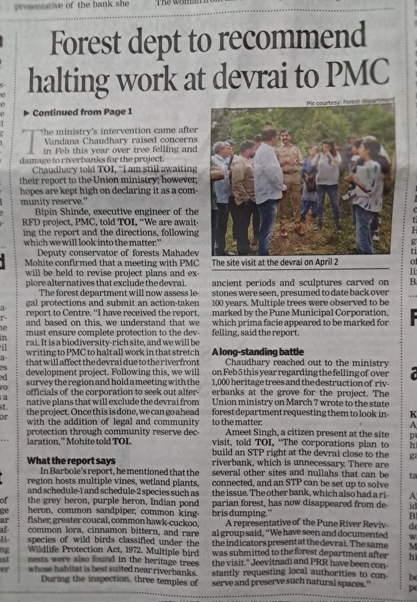 rapiduplift's tweet image. What should have been an obvious common sense decision has to be hammered into the thick skulls of obdurate PMC officials. 

@moefcc must halt tree cutting along the entire stretch of this destructive vanity project. 

#Pune #RiverFrontDevelopment