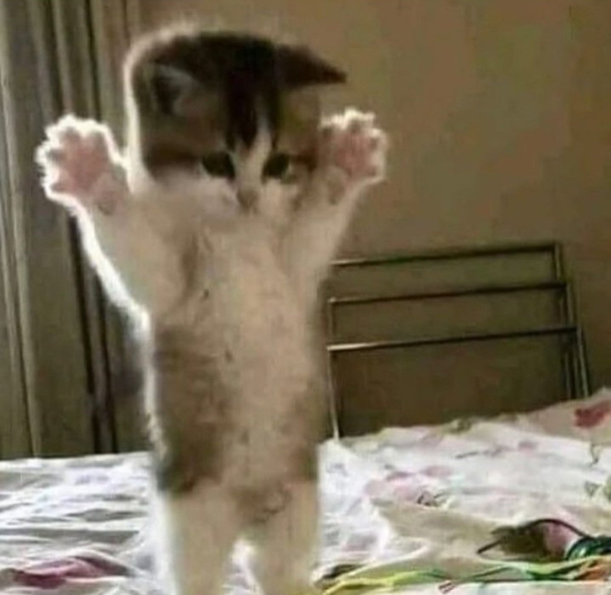 jadessawful's tweet image. 20 | sub | bi
nsfw twt | MDNI
retweet for muts
#nsfw #MarvelRivals #nsfwtwt #brat #valorant