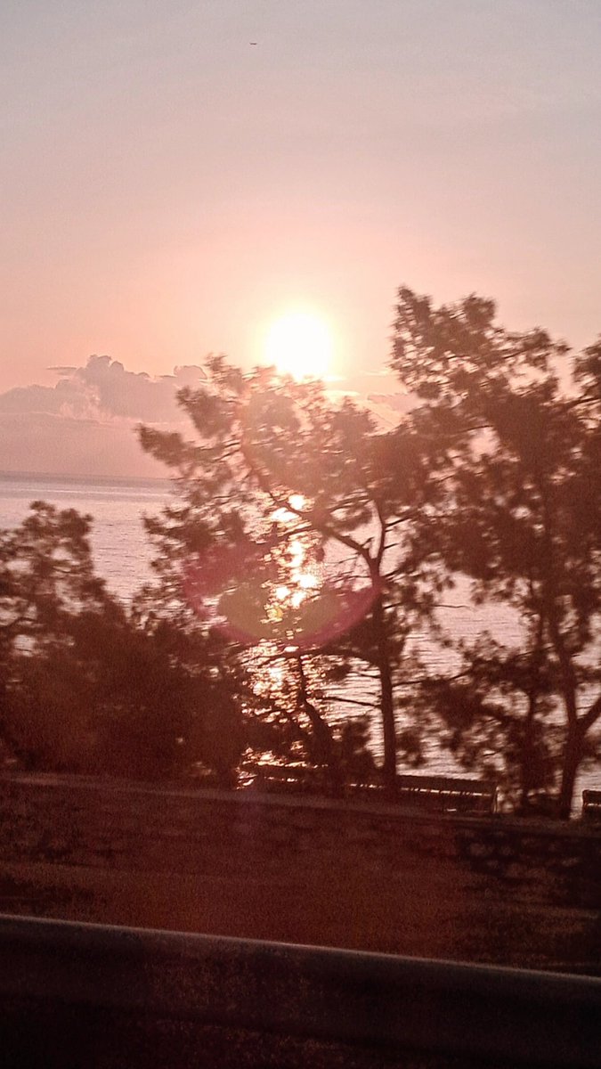 Boudic_a_'s tweet photo. ♡♧♡♧♡♧♡♧

Düşünme sen bu hesapsız düzeni,

Çiçekten kalbimiz var bizim 

              Ahmet Arif

                 ♡♧♡♧♡♧♡♧

#GÜNAYDINDÜNYA 💙 https://t.co/YNAFuguEOw