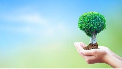 The greatest teacher of life is experience, which teaches without saying and tests without asking.
__Grok