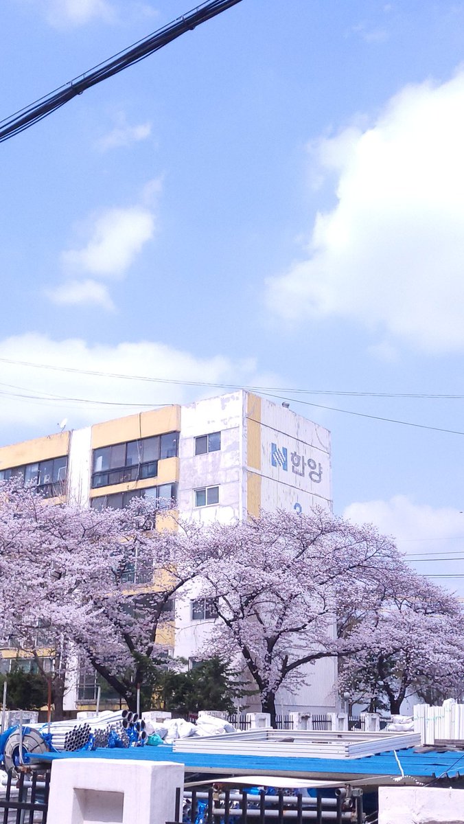 욕참 tweet media