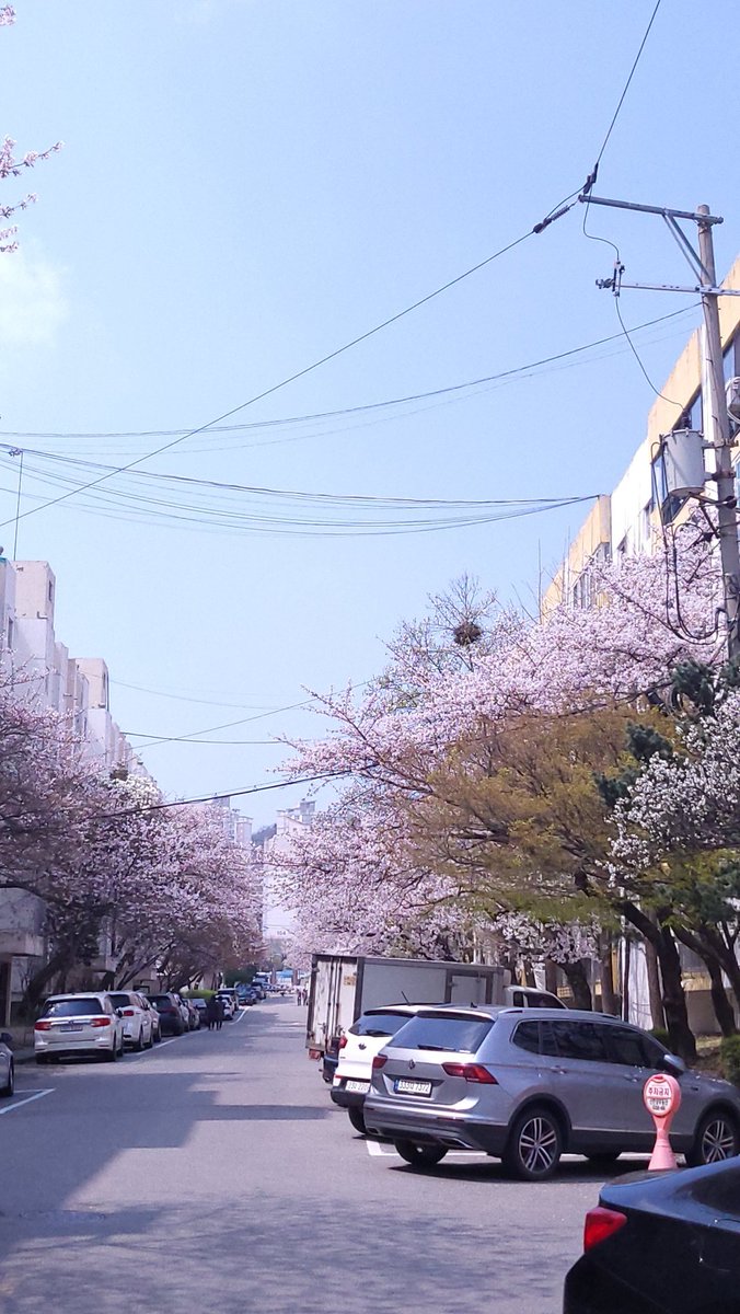 욕참 tweet media