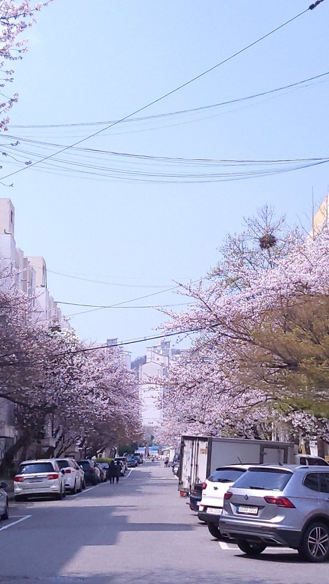 욕참 tweet media
