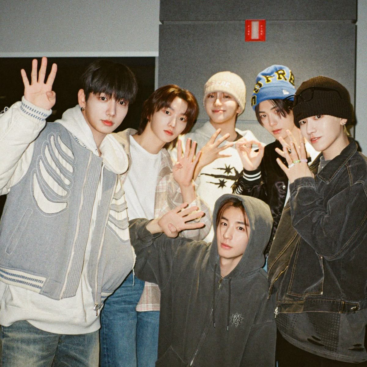 bear .ᐟ tweet media