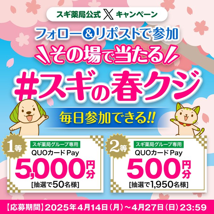 今すぐ参加！スギ薬局の春クジでその場で当たるQUOカードPayキャンペーン