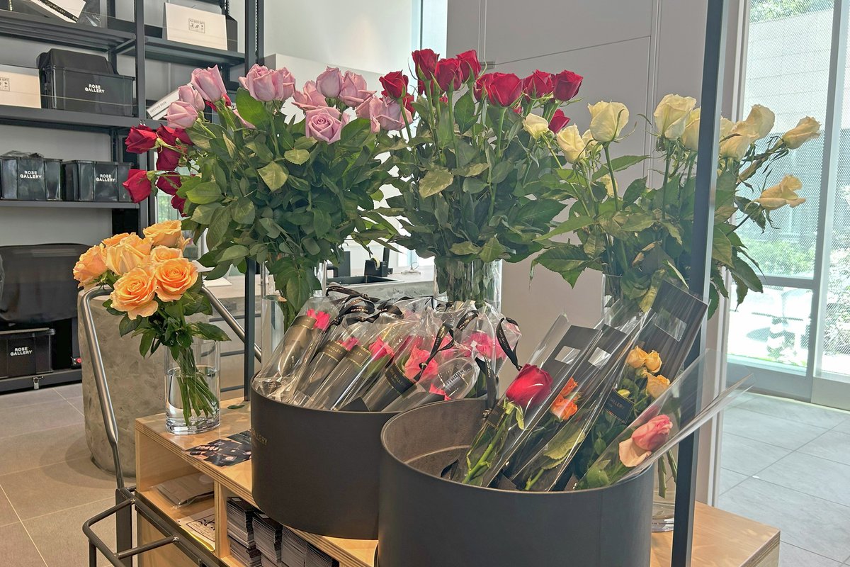 ROSE GALLERY／ ローズギャラリー (@rosegallery1975) / Posts / X