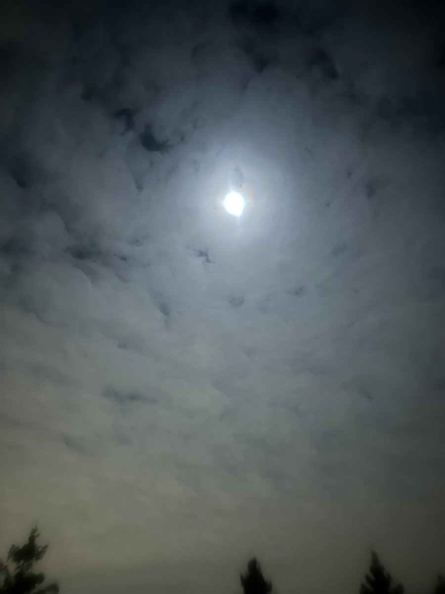 mrsufodike's tweet photo. Love my #darkskycommunity ❤️ #elatownship https://t.co/WNoSsU3ps7