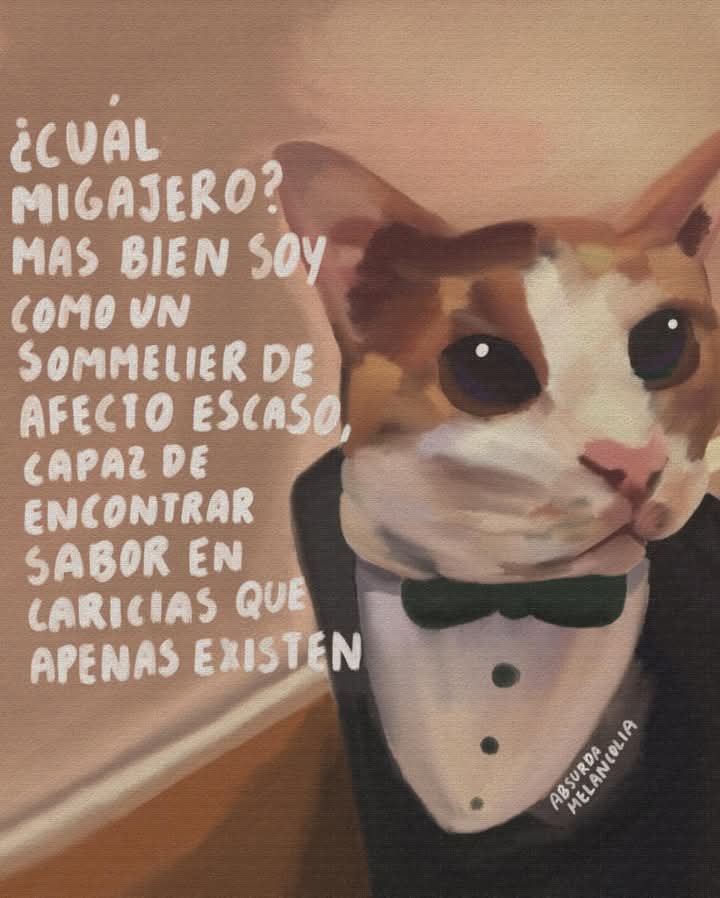 absurdamela's tweet photo. https://t.co/LdpFo08cs8