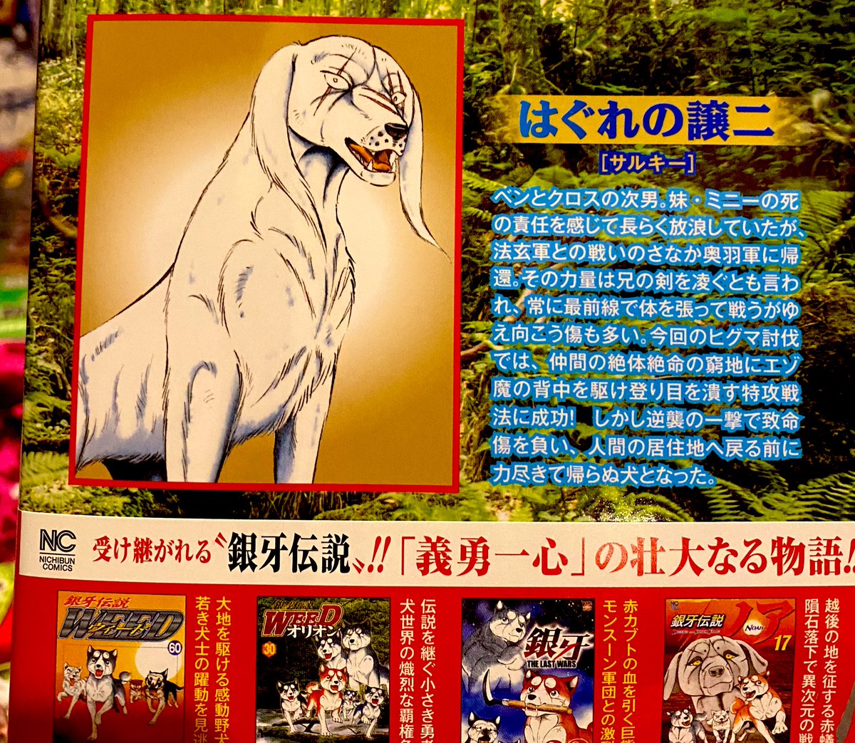 赤 カブト 銀河伝説 銀 赤カブト 銀牙 -流れ星 銀- 漫画 銀牙伝説ノア