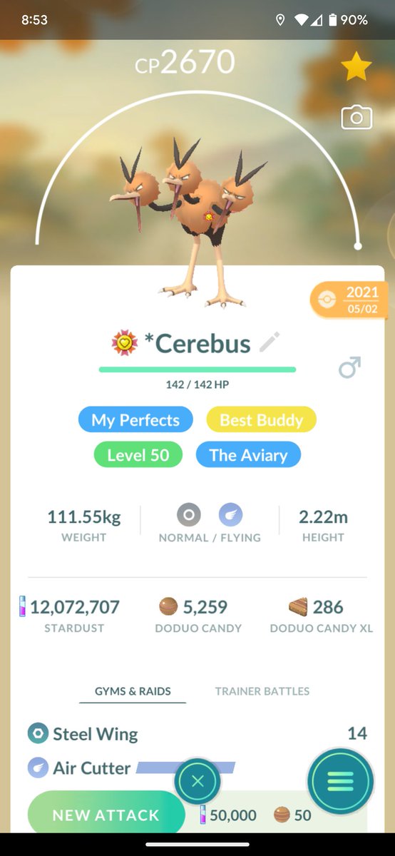 Chromeskooter's tweet image. #dodrio