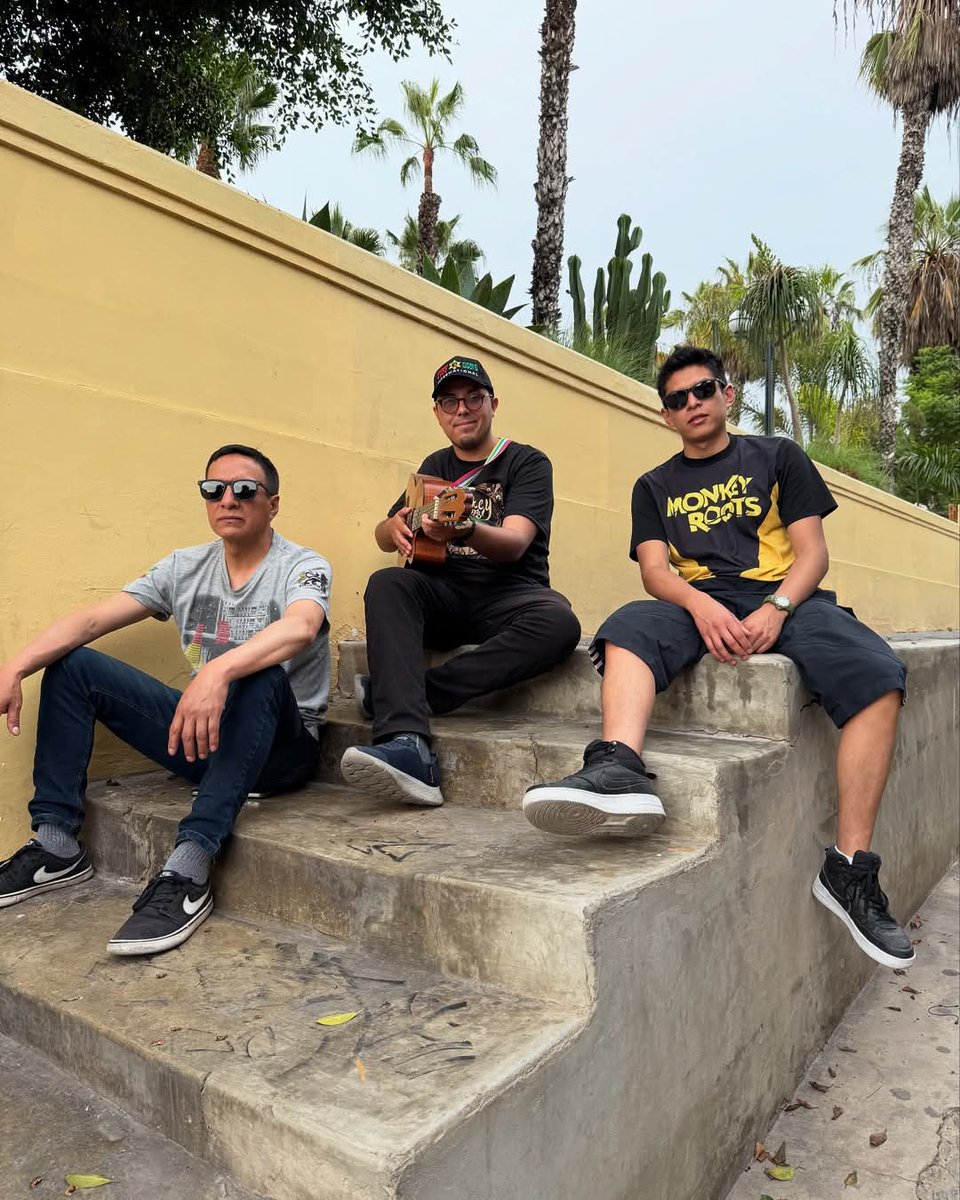 Monkey Roots tweet media