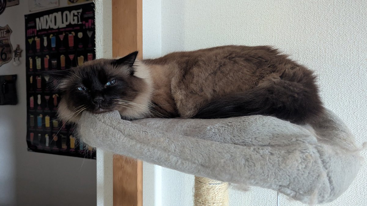 眠たいですぅ～。