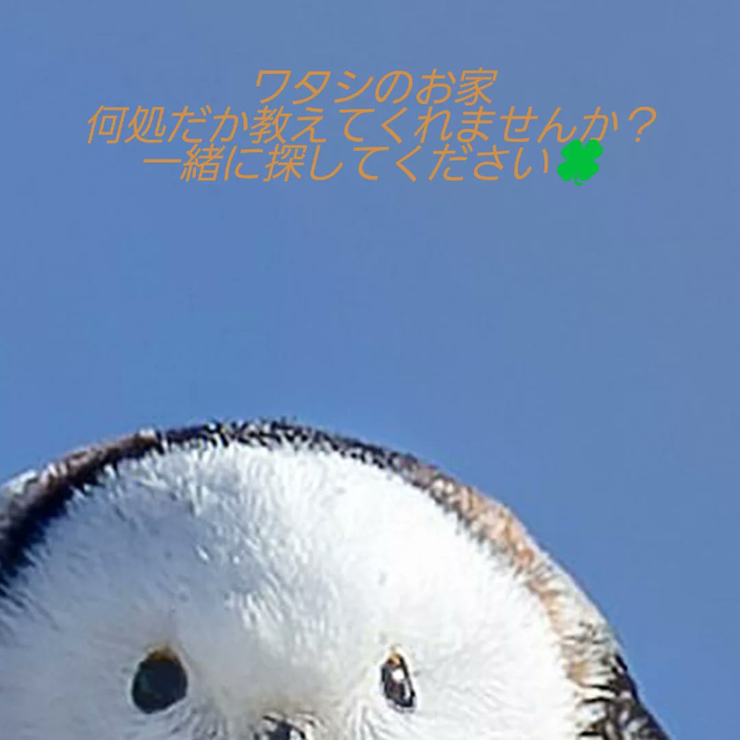 賃貸物件探しから一軒家の御検討
土地の御検討まで御相談ください🍀
サポート致します🍓
大分市内から近郊でもお探し致します✨
不動産エージェント川原まで🐱