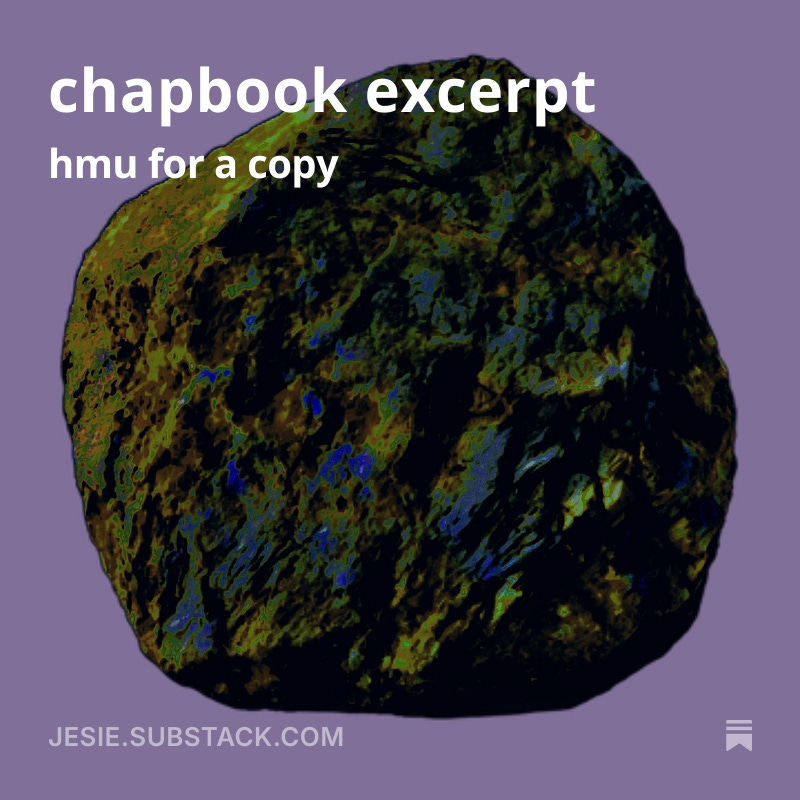 I turned some shit into a chapbook, and "The Year" (a wonderful chap press that you should certainly check out in full) published it! Peep excerpt at link in bio &amp; hit my line if you want a copy! Peace Love Unity Respect <3