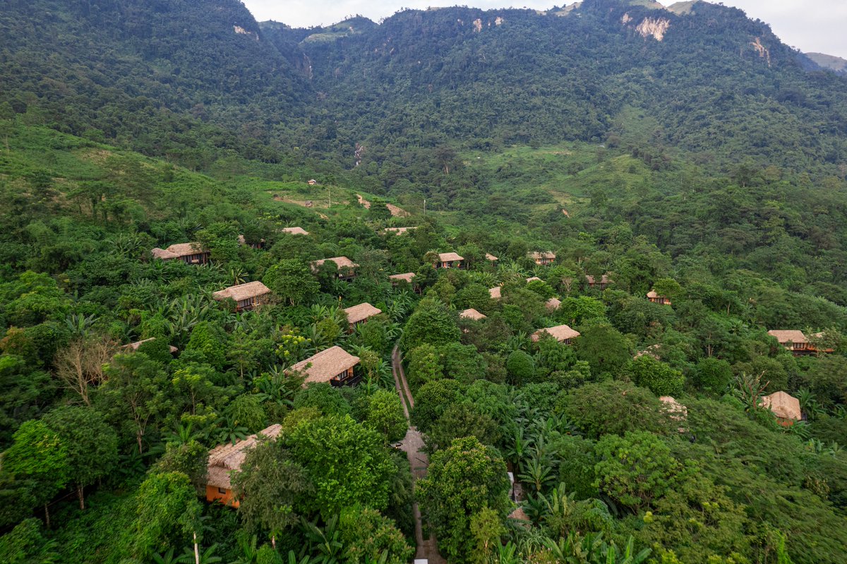 Like hidden gems tucked beneath the forest canopy, the villas offer a harmony of rustic charm and luxurious comfort, surrounded by the endless greenery of the mountains.
#AvanaRetreat #NaturePhotography #mountains