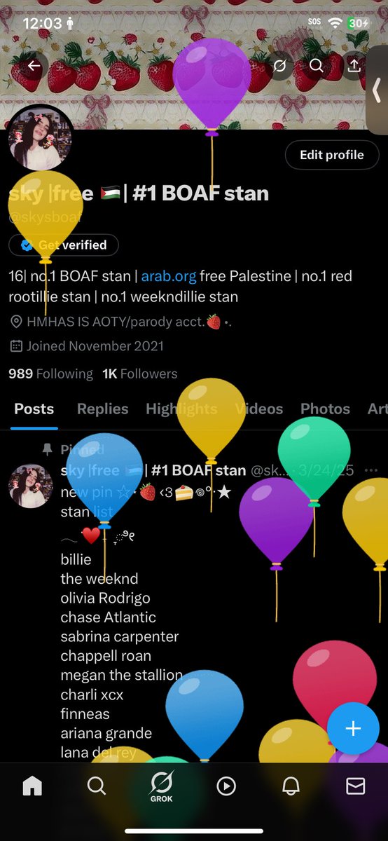 sky |free 🇵🇸| #1 BOAF stan | 🍓 tweet media