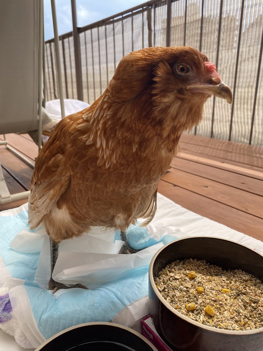 （8月VIP 15%off中） hnzsuaです❣0425 NHAT VIP【8S.LC】.awou