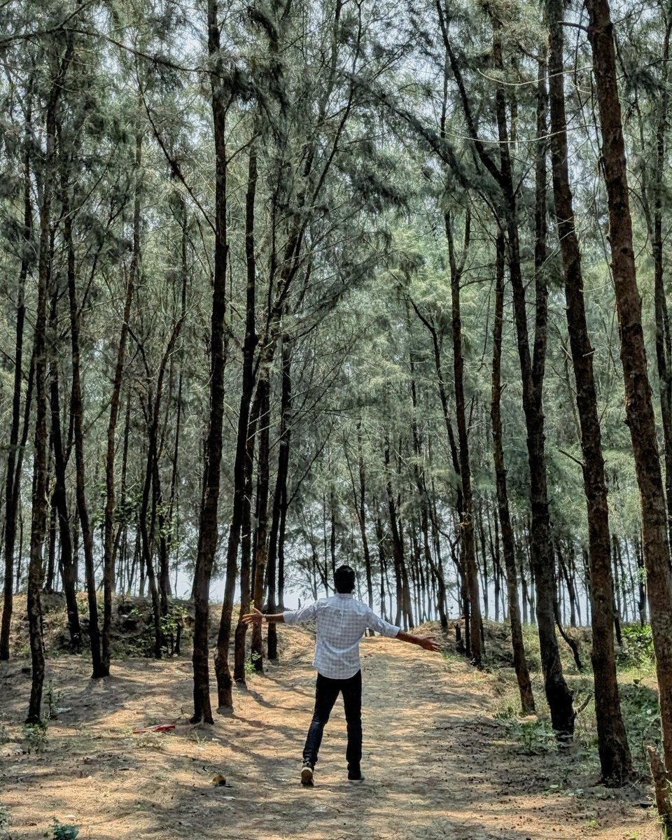 tk_meher's tweet photo. When you find peace somewhere, you never truly leave 🕊️

#tk_meher #peace #nature #forest #sea https://t.co/C6Ky7wrJyo