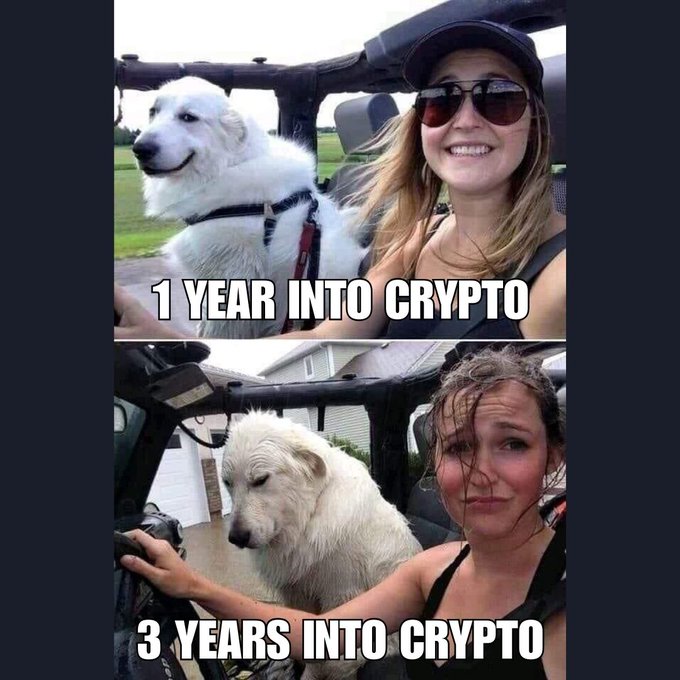 AvaFrostChain's tweet image. From dizzying highs to jaw-dropping lows, how's the fam holding up?