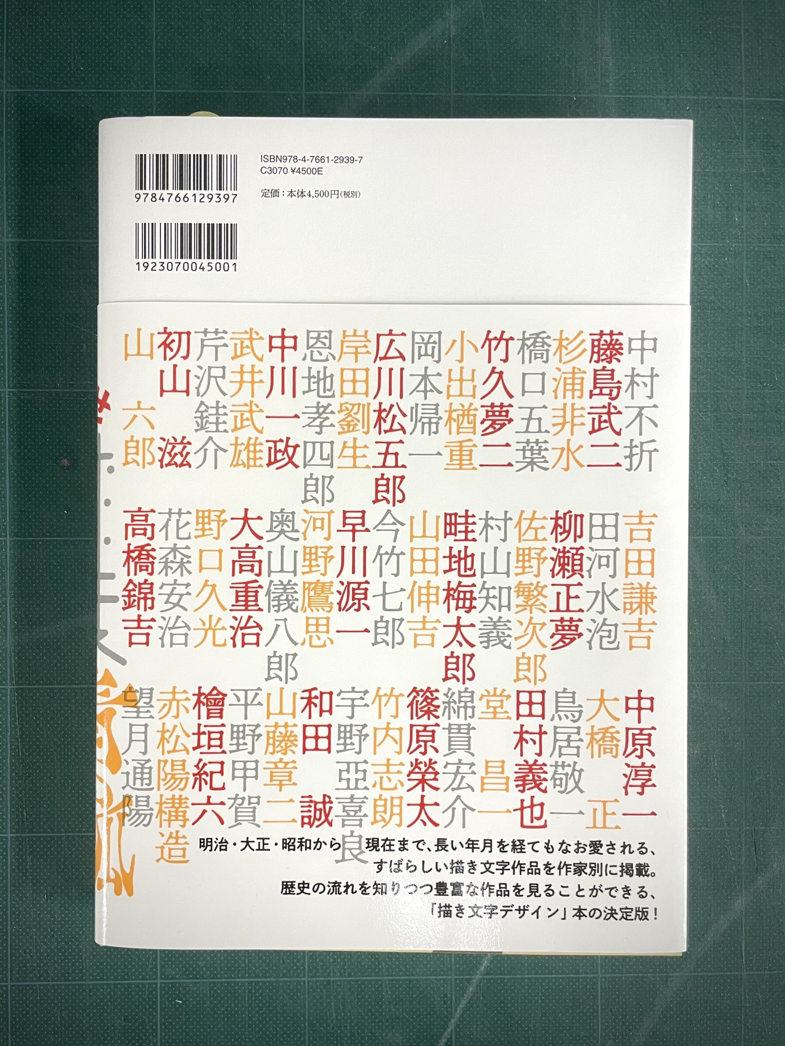 逸品‼️ 筆文字 ☆大雪 × 裏無し 函 持ち ☆ 愛称板 サボ 種別板