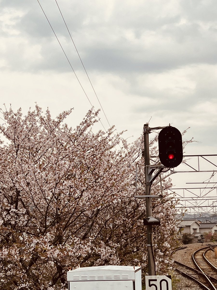 「今日の王蟲と空模様。そして駅のホームから見える桜模様。と福塩線。 」|とだ勝之4/29,30MakerFaireKyotoのイラスト