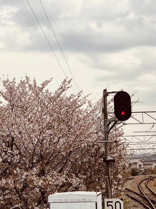 今日の王蟲と空模様。そして駅のホームから見える桜模様。と福塩線。 