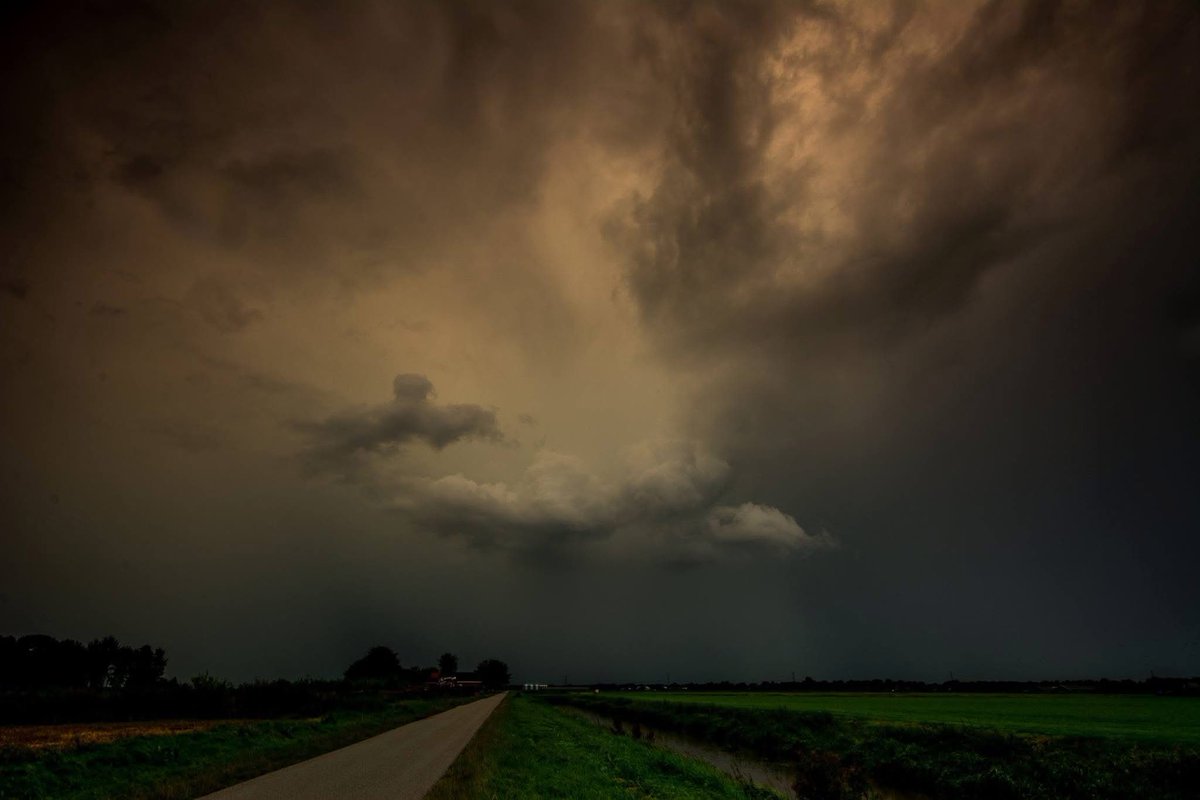 𝑻𝒂𝒓𝒂 𝑲𝒊𝒆𝒌𝒕☕️ tweet media