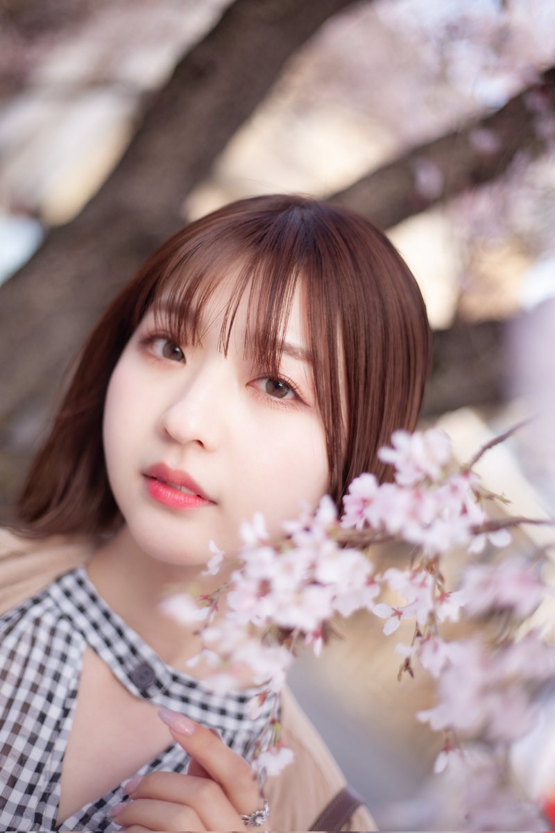 na502kun's tweet photo. 皆様お久しぶりです✨
桜が綺麗な時期になりましたね🌸
今年は桜撮影できていないので去年の写真を📸 https://t.co/nfXhwFOtat