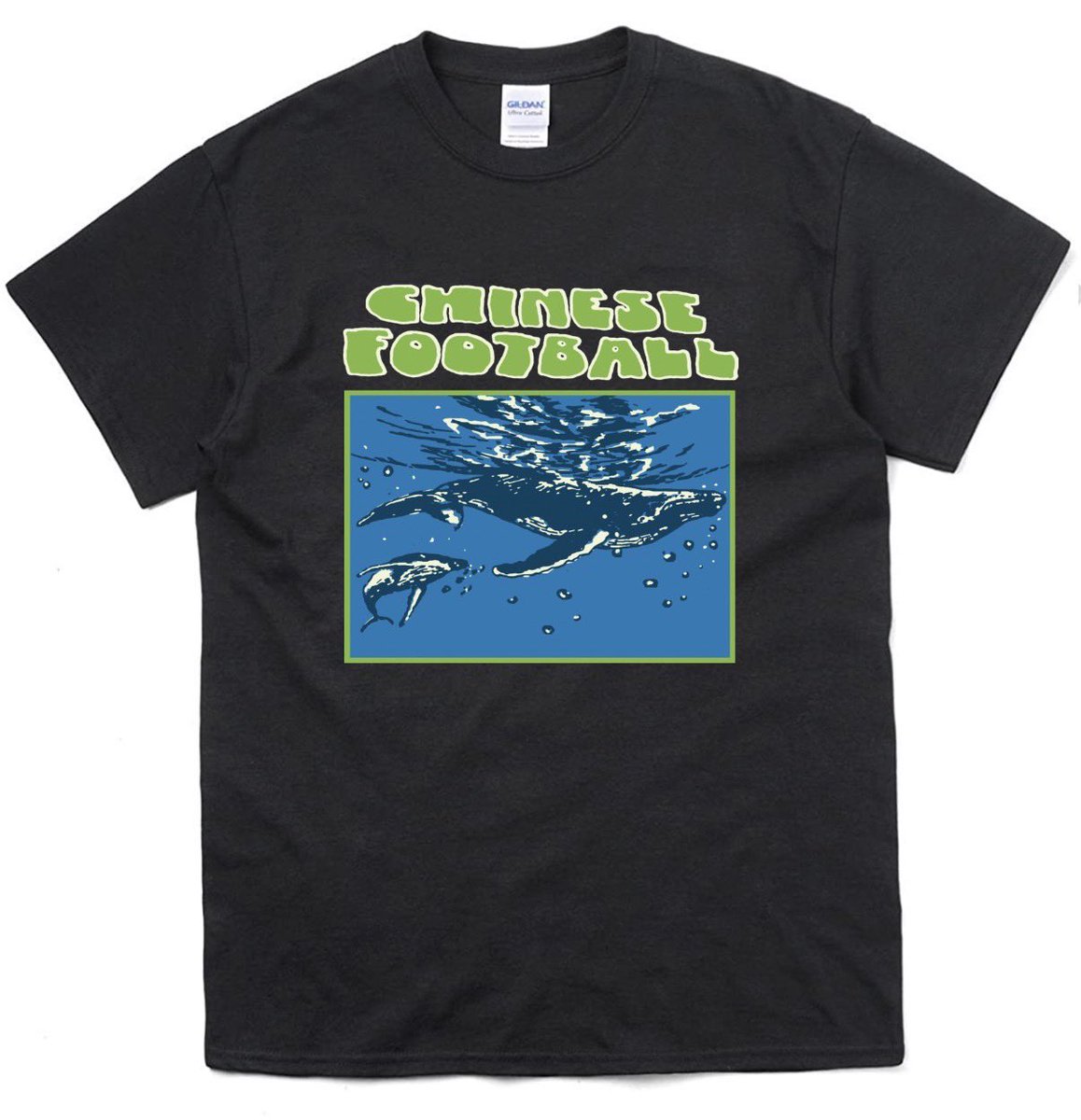 いまきん tweet media