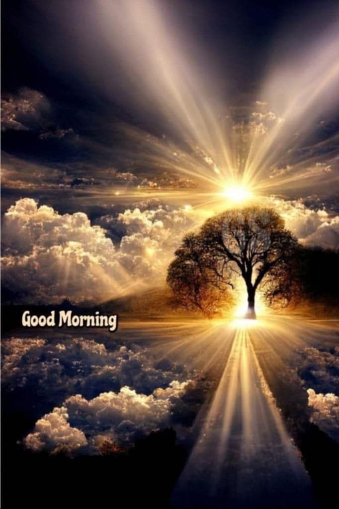 Adnan Ali tweet media