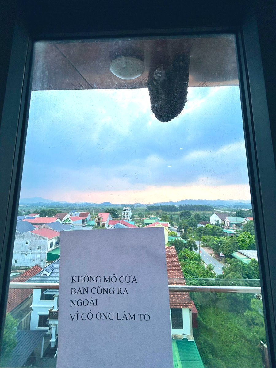 Đi khách sạn gặp cảnh này thì nên làm thế nào nhỉ?