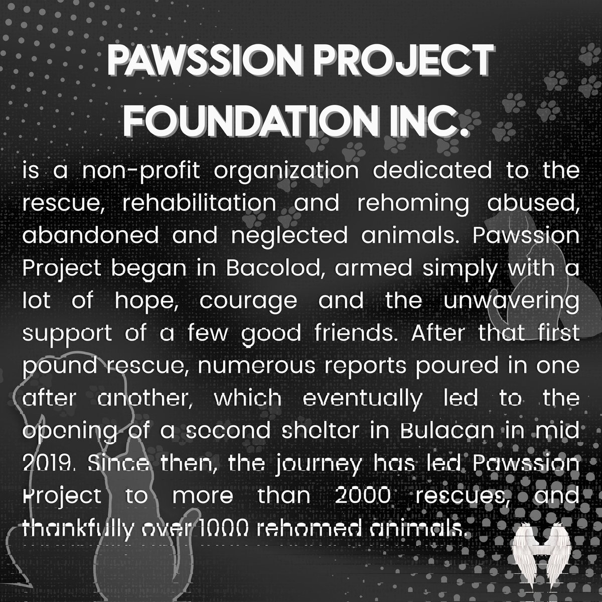 Ofc_AmigosPH's tweet photo. AMIGOs and Pawssion makes a purr-fect pair! ๐ซ
Take a glimpse on the sanctuary where all the Pawsitive vibes would go! Thank you for letting us spread and celebrate our love and care to our fur babies in this project. ๐ฅฐ
#MigoValid #AMIGOS #PawssionProject https://t.co/3yj0HhumIK