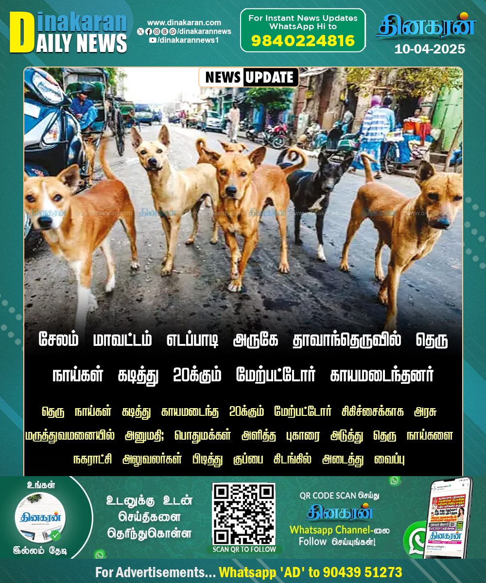 DinakaranNews's tweet photo. சேலம் மாவட்டம் எடப்பாடி அருகே தெரு நாய்கள் கடித்து 20-க்கும் மேற்பட்டோர் காயம்
#Selam #Dogsbite #DinakaranNews https://t.co/KYSjbFxGl4