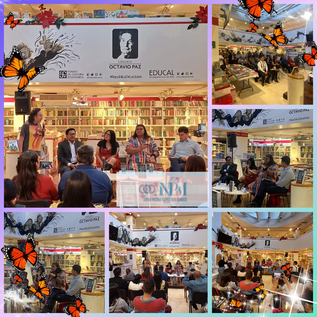 agendapoltrans's tweet photo. Presentación del libro transfeminicidio en la librería Octavio Paz, en la alcaldía Coyoacán 

Este libro es gracias al esfuerzo y los testimonios de hombres y mujeres trans que han vivido estos eventos que marcan un antes y un después en sus vidas

Agradecemos mucho todo https://t.co/Y30R71m6Yv