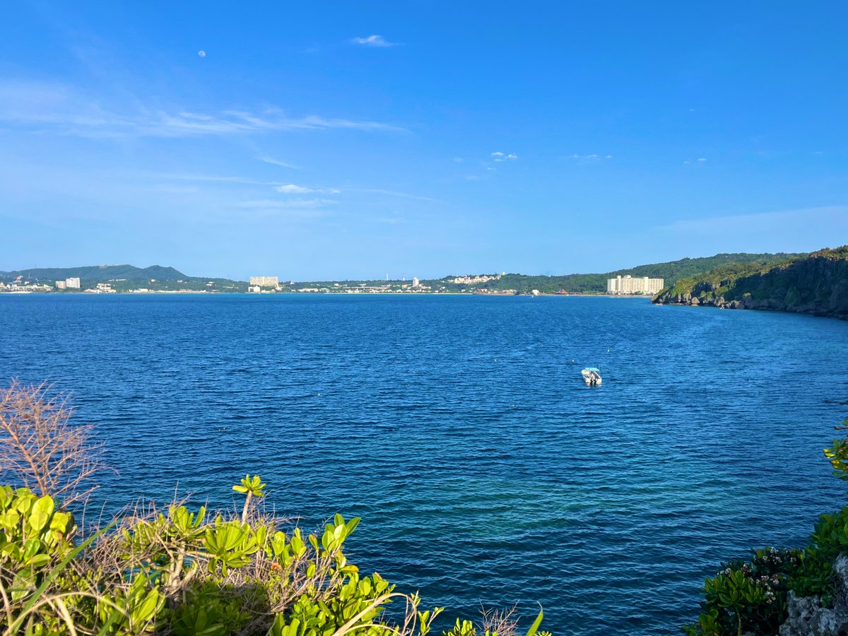 Y1918O's tweet photo. いい天気でした🌞🪸 https://t.co/zVeqSrwXpP